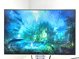 Монитор Eizo FlexScan EV2456 24" (клас А)