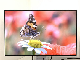 Монитор Eizo FlexScan EV2456 24" (клас А)