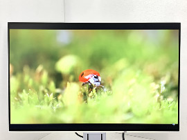 Монитор Eizo FlexScan EV2456 24" (клас А)