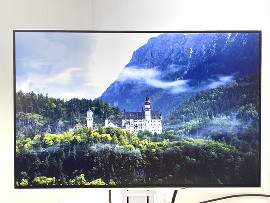 Монитор Eizo FlexScan EV2456 24" (клас А)