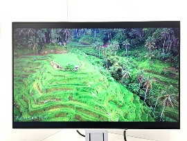 Монитор Eizo FlexScan EV2456 24" (клас А)