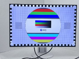Монитор Eizo FlexScan EV2456 24" (клас А)
