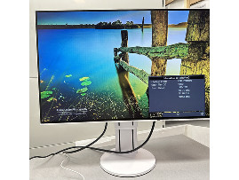 Монитор Eizo FlexScan EV2456 24" (клас А)