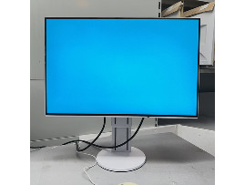 Монитор Eizo FlexScan EV2456 24" (клас А)