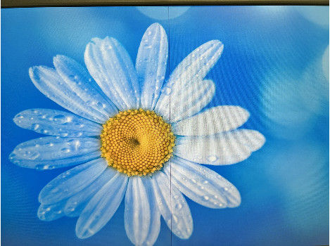 Dell Professional P2414Hb 24" (клас Б)